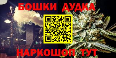 шишки Нарткала