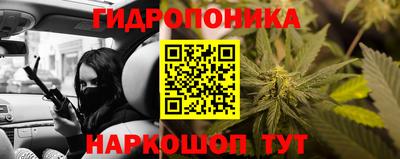 шишки Нарткала