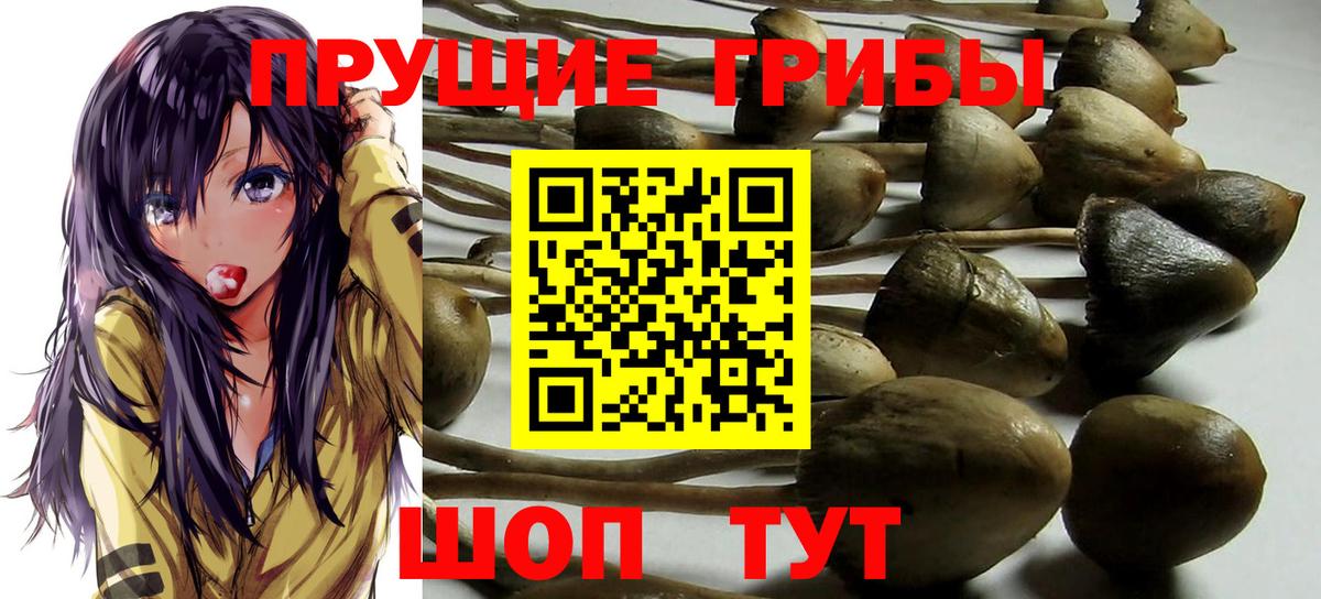 Псилоцибиновые грибы прущие грибы  Вход с VPN  где можно купить наркотик  Солнечногорск  Галлюциногенные грибы мицелий 